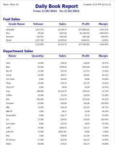 Daily Book Report Sample Image